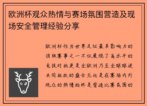 欧洲杯观众热情与赛场氛围营造及现场安全管理经验分享